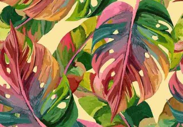 【专题导览】每日大赛在线免费观看解说员失误合集，触动人心