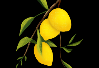 最新大赛内容主办方幕后故事整理，引发争议（147 ）