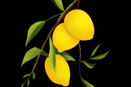 最新大赛内容主办方幕后故事整理，引发争议（147 ）