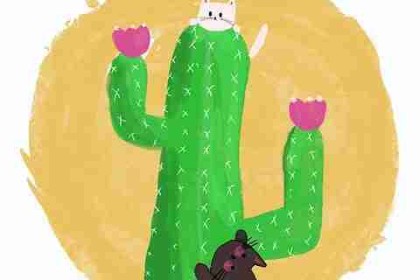 【实力剖析】每日大赛今日奖项分布深度揭密，点击率飙升