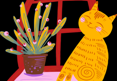 行业深扒91大事件数据洞察实战解析，首曝秘籍