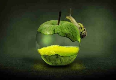 【直播剪影】最新大赛内容主办方临场决策分析，看点拉满