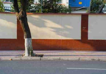 【观众反馈】每日大赛官网用户UGC热度激增现象，视角独特