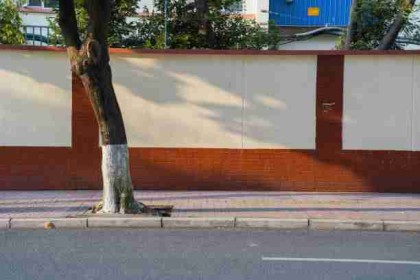 【观众反馈】每日大赛官网用户UGC热度激增现象，视角独特