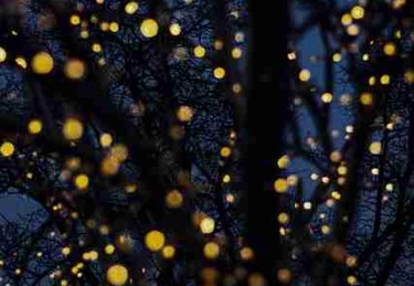 从技术角度拆解每日大赛今日策略拆解懒人包