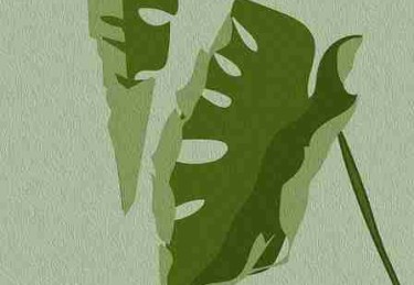 【超前解锁】每日大赛今日人气选手社交动态速览，触动人心