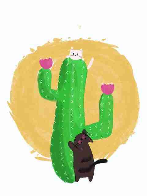 【舞台焦点】每日大赛在线免费观看打分争议全纪录，感情真挚