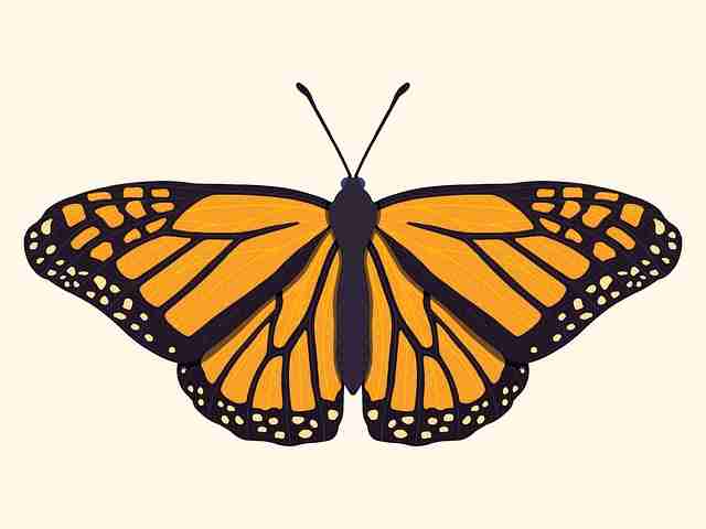 【舆论核心】反差大赛热门片段BGM出处整理，值得二刷