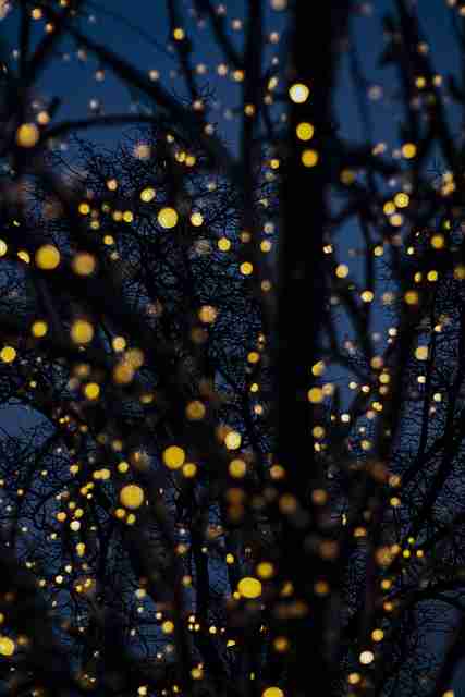 真正的实力派!大赛直播名场面集锦(426 )