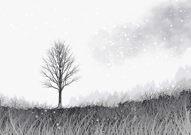 【精彩】每日大赛官网爆点看点全收录