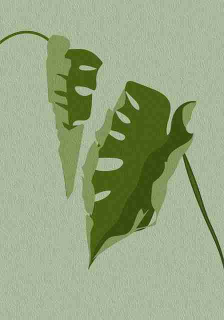 【超前解锁】每日大赛今日人气选手社交动态速览，触动人心