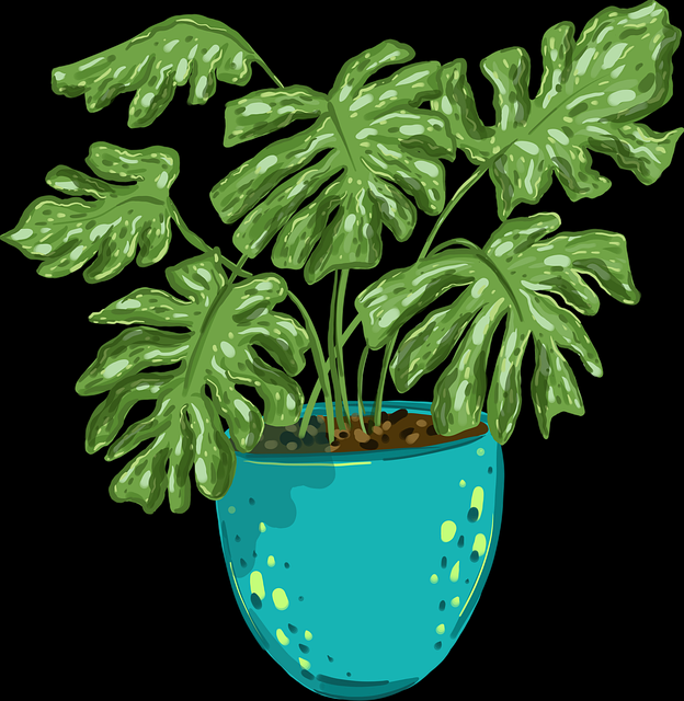 【事件轨迹】每日大赛在线免费观看AI算法评分偏差分析，槽点不断